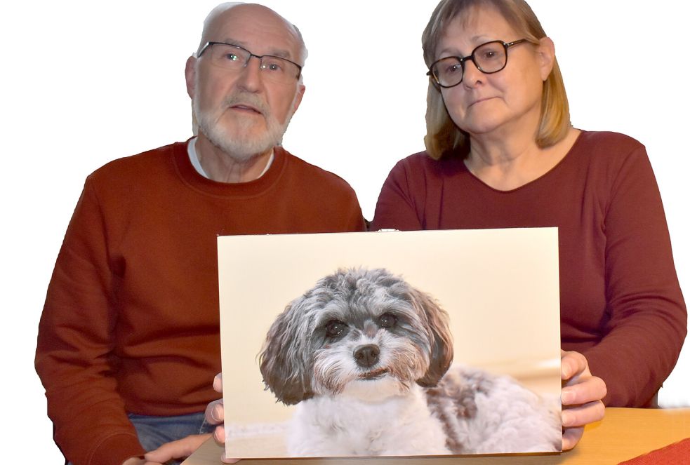 Peter und Petra Müller aus Ostrhauderfehn zeigen ein Foto von ihrer Hündin Abby. Diese starb am 1. Juni 2025 bei einem Angriff eines anderen Hundes. Fotos: Henrik Zein