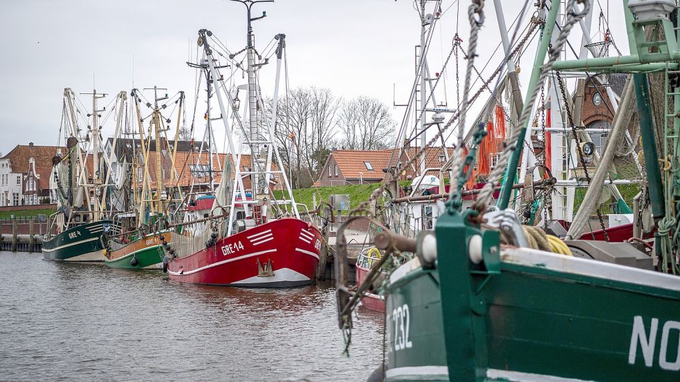 Was wäre der Greetsieler Hafen ohne die Kutter? Ein Drittel der Kutterflotte der Nordsee soll stillgelegt werden. Foto: Sina Schuldt/dpa