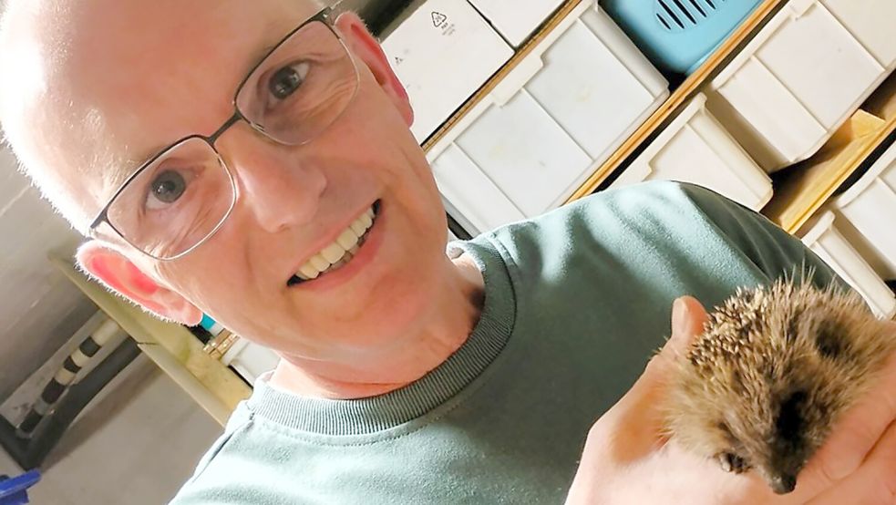 Mit diesem Igel begann im November 2023 das Engagement von Diedrich Kleen: Als er das Tier zur Igelstation brachte, erfuhr er von dem tausendfachen Tierleid durch Mähroboter. Foto: Privat