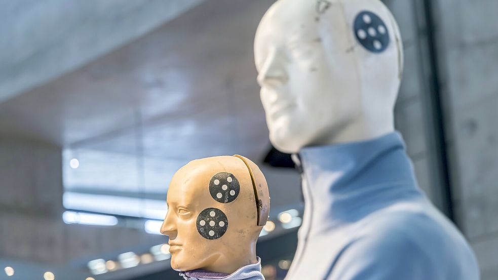 Crash-Dummys stehen in der Kritik, vor allem Schutz für männliche, schmale Körper zu generieren. Foto: IMAGO/imagebroker