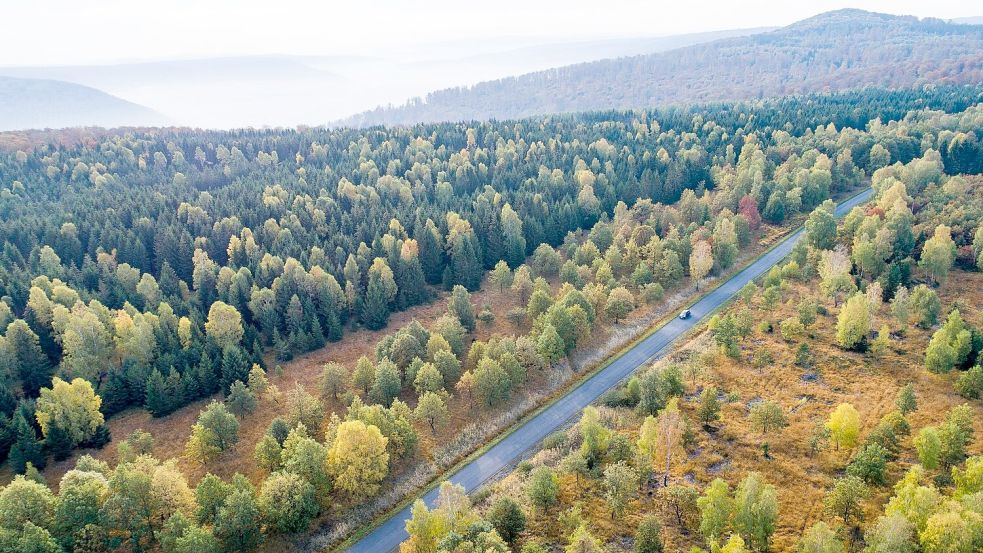 Die Forschenden empfehlen verschiedene Varianten, um das Klima zu schützen. (Symbolbild) Foto: Swen Pförtner