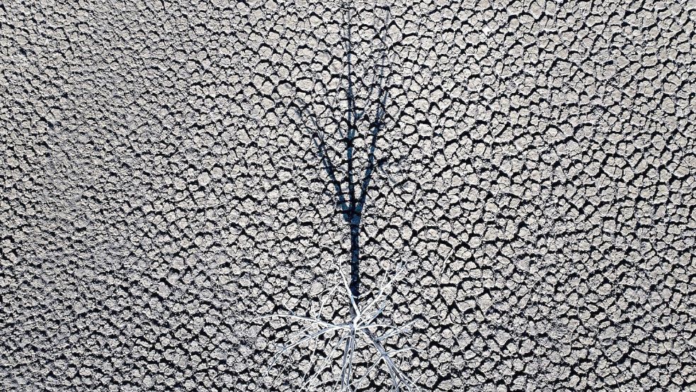 Klimazertifikate aus Drittländern könnten künftig mit EU-Emissionen verrechnet werden. (Symbolbild) Foto: Emilio Morenatti/AP/dpa