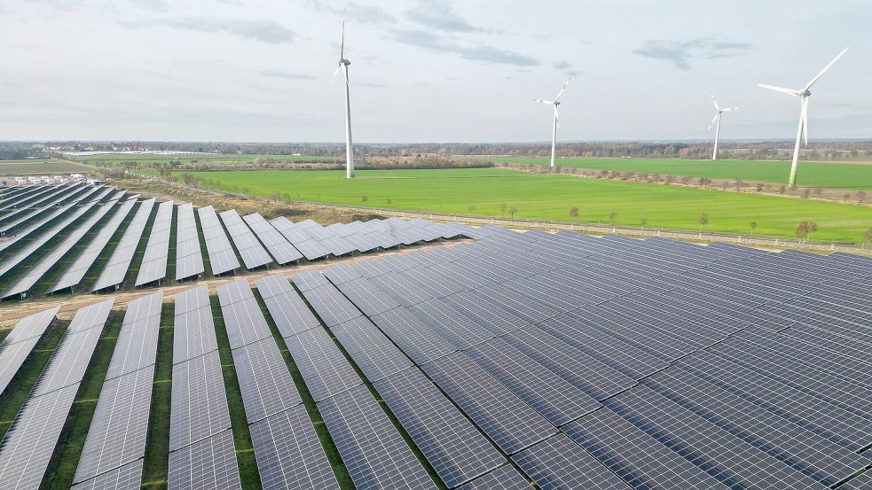 Erneuerbare Energien werden in diesem Jahr laut einer Hochrechnung knapp 56 Prozent des Stromverbrauchs decken. (Symbolbild) Foto: Jan Woitas