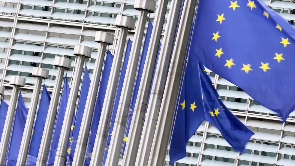 Die EU-Staaten haben beschlossen, wie sie mit dem eingefrorenen russischen Geld umgehen. Foto: Virginia Mayo/AP/dpa