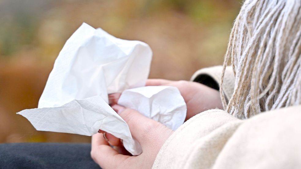 Häufiger Anblick in der Krankheitssaison: Eine Frau sitzt auf einer Parkbank und hält ein Taschentuch in der Hand. Foto: DPA