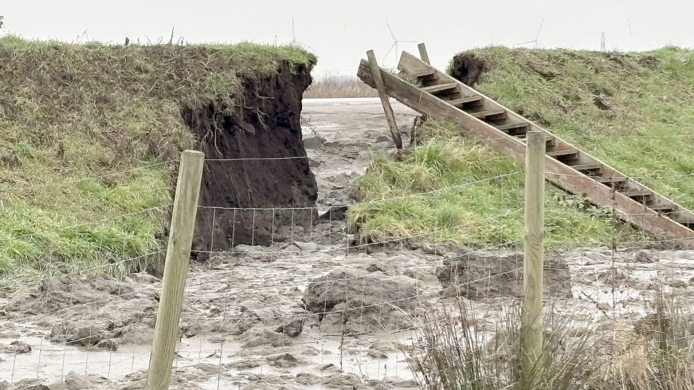 Direkt an der Stelle, an der sich eine Treppe befindet, ist der Deich für das Spülfeld gebrochen. Foto: Carsten Ammermann