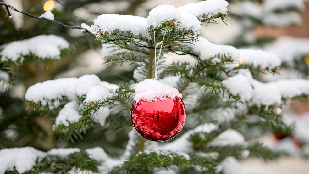 Verschneite Dächer und Bäume sind wohl auch diese Weihnachten nicht oft in Deutschland zu sehen. (Symbolbild) Foto: Jan Woitas