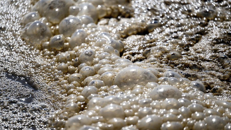 Abwasser in einer Kläranlage.Foto: DPA