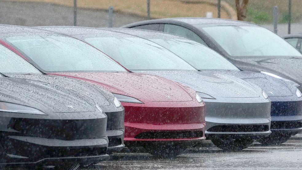Um den Namen von Teslas Assistenzsystem „Autopilot“ gibt es schon lange Streit. (Archivbild) Foto: Godofredo A. Vásquez/AP/dpa