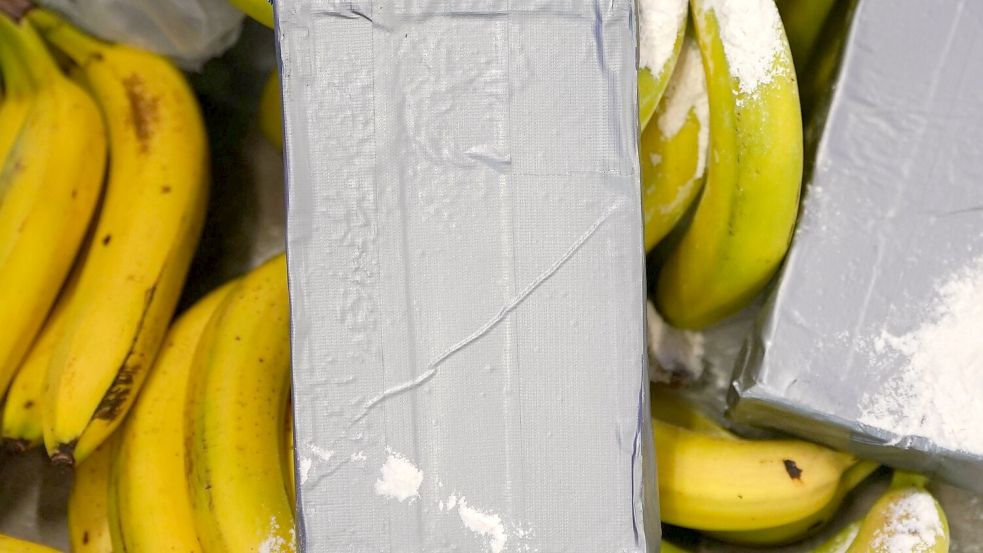 Große Kokain-Lieferungen aus Südamerika werden häufig unter Bananen versteckt. (Symbolbild) Foto: Marcus Brandt/dpa