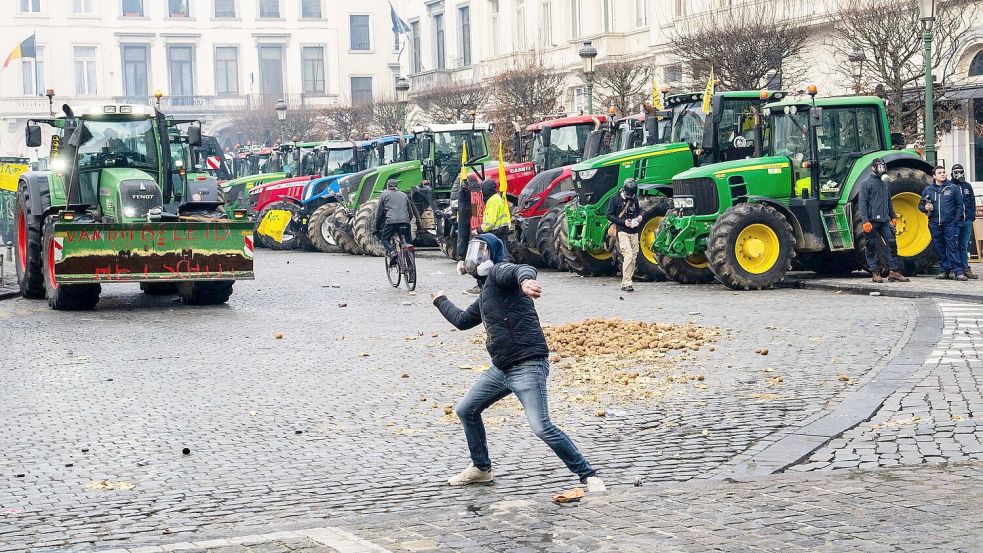 Ein Demonstrant wirft eine Kartoffel Richtung Europaparlament. Foto: Marius Burgelman/AP/dpa