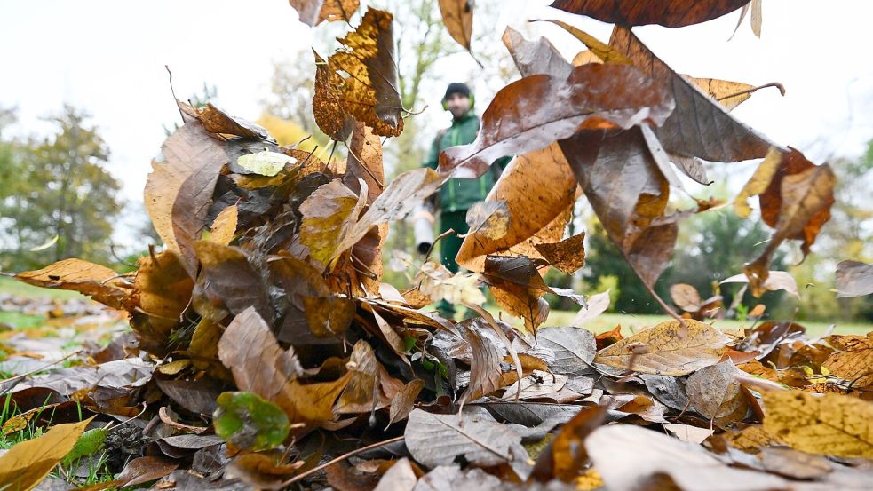 In Wiesmoor wird Laub offenbar oft in Gräben und Gullys gepustet. Das sorgt für Ärger. Symbolfoto: Bernd Weißbrod/dpa