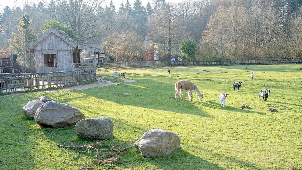 Nach Auffassung des Landgerichts Stralsund hat der Vogelpark Marlow seine Pflichten erfüllt. (Archivbild) Foto: Stefan Sauer