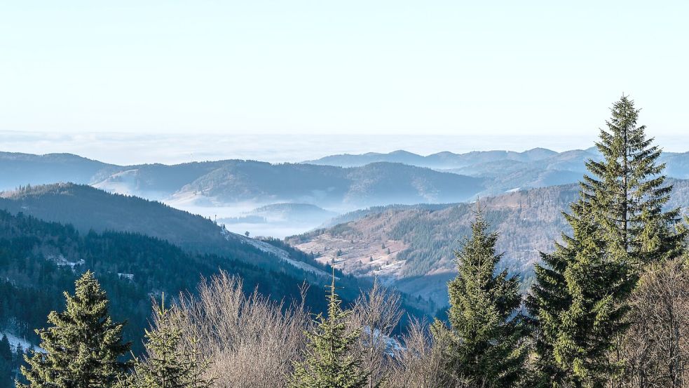 Zum Start in das letzte Wochenende des Jahres kommt etwas mildere Luft nach Deutschland Foto: Silas Stein