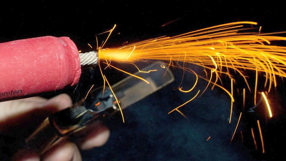 Genaue Zahlen dazu, wie viele Tiere in der Silvesternacht in panischer Flucht verletzt werden oder sterben, gibt es nicht. (Archivbild) Foto: Patrick Pleul/dpa-Zentralbild/dp