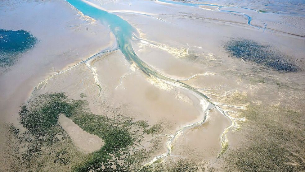 Die Situation im Wattenmeer ist einer Studie zufolge ernster als bisher angenommen. (Archivbild) Foto: Sina Schuldt