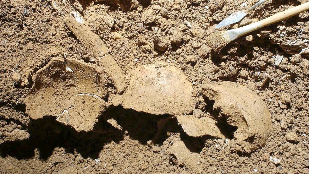 Skelette in der Grotta della Monaca in Süditalien lassen sich einem kleinen Jungen zuordnen, der wohl durch ein inzestuöses Verhältnis gezeugt wurde. Foto: Felice Larocca/nature.com