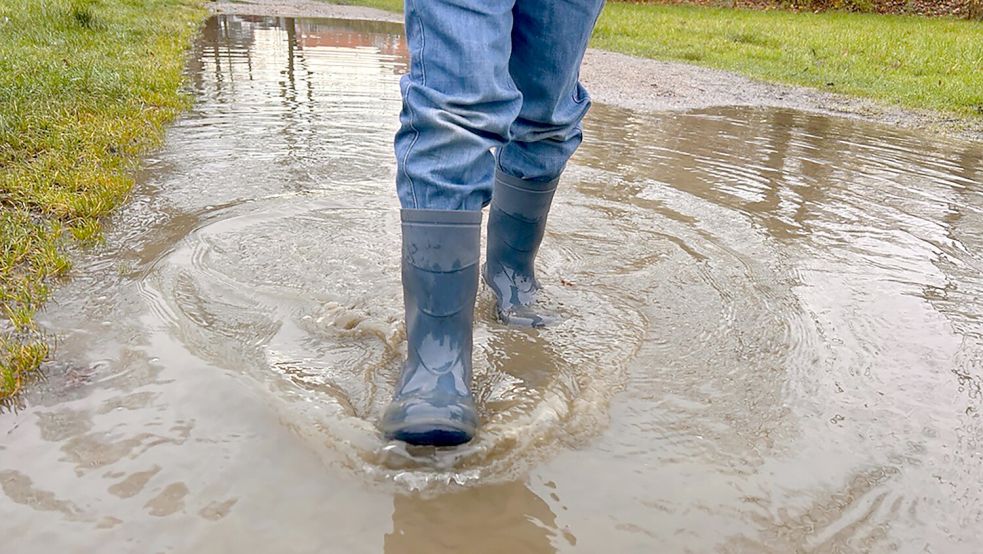 Wenn es geregnet hat, sollte man am Schwanenteichgelände besser mit Gummistiefeln unterwegs sein. Foto: Stephanie Tomé