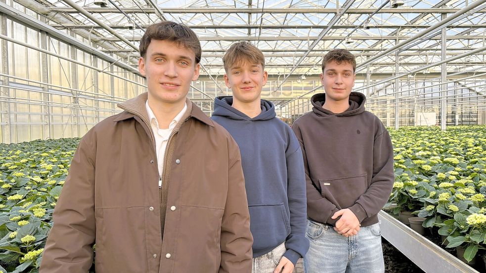 Johannes (von links), Marten und Henry Freese wissen schon jetzt, dass sie eines Tages gemeinsam den Betrieb ihrer Eltern übernehmen möchten. Foto: Nicole Böning