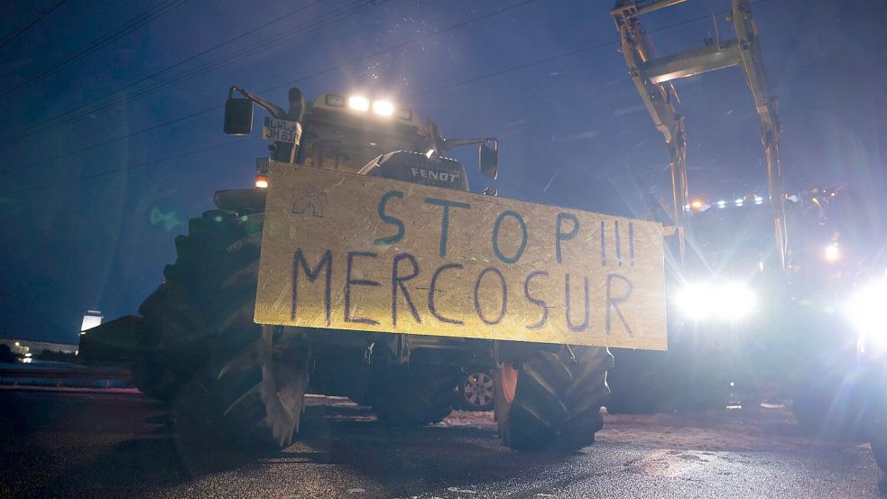 Landwirte befürchten unverhältnismäßige Konkurrenz durch günstige Importe aus Südamerika. Foto: Philip Dulian