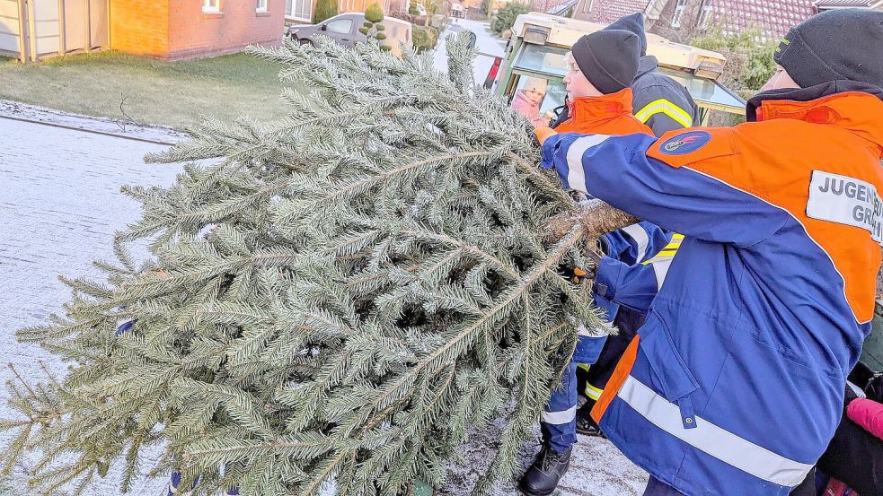 Die Jugendfeuerwehren holen wie jedes Jahr die Weihnachtsbäume ab - aber eine Woche später als zunächst geplant. Der Grund ist die angespannte Wetter- und Verkehrslage. Foto: Merlin Klinke