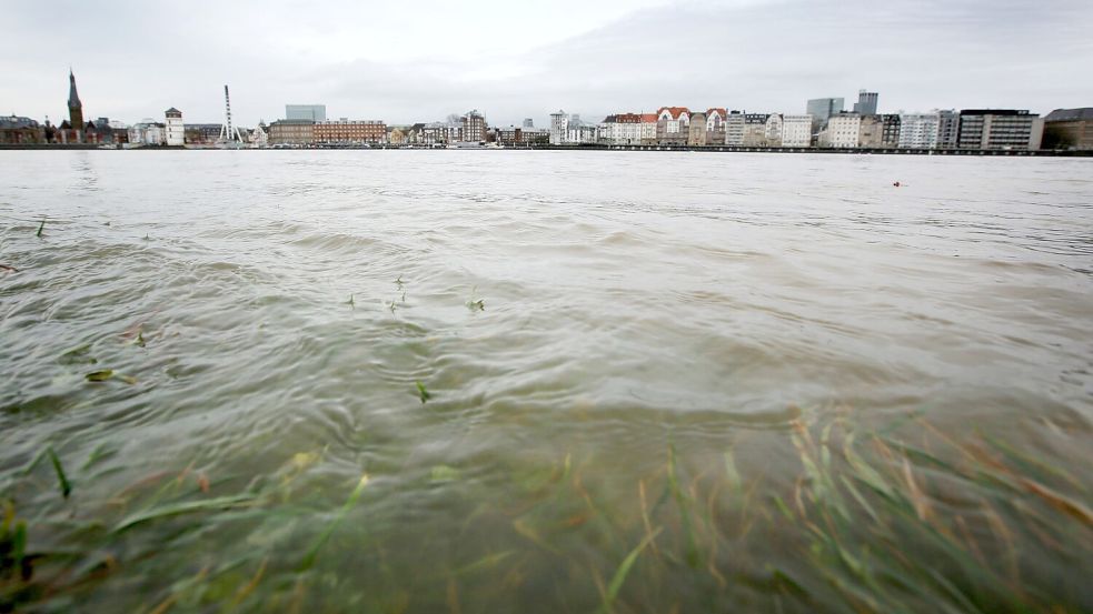 Im Rhein schwimmt mehr Müll als angenommen. (Archivbild). Foto: Martin Gerten/dpa