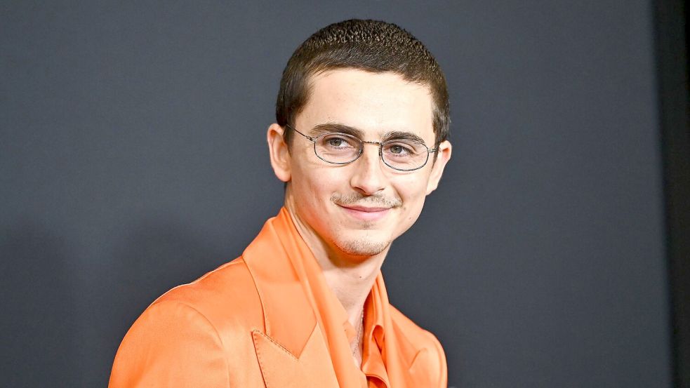 Timothée Chalamet geht ungewöhnliche Wege, um seinen aktuellen Film „Marty Supreme“ zu promoten (Archivbild). Foto: Evan Agostini/Invision/AP/dpa