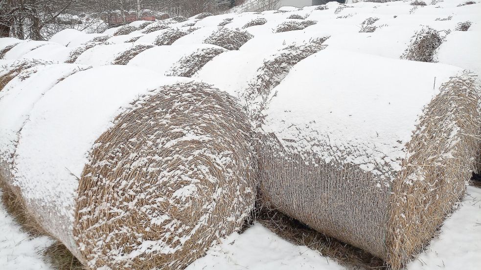 Es ist nicht der erste Winter mit Schneefall, den die Landwirte erleben. Vor längerem Frost oder - noch schlimmer - einem Stromausfall haben sie jedoch Respekt. Foto: Pixabay