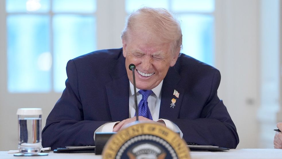 US-Präsident Trump will das offiziell zu Dänemark gehörende Grönland unter seine Kontrolle bringen. Foto: Evan/AP/dpa