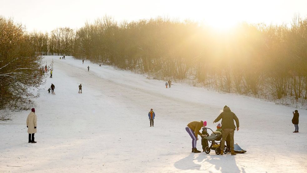 Das Winterwetter hat auch schöne Seiten - wie hier am Teufelsberg in Berlin. Foto: Christophe Gateau
