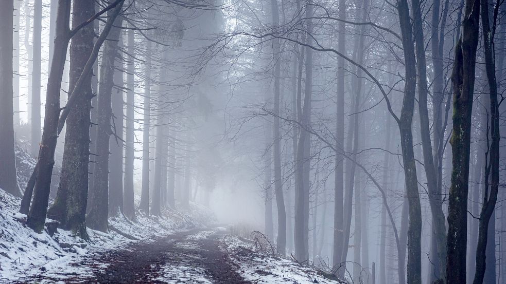 Beliebte Schauplätze: Krimis aus dem kalten Norden haben etwas besonders Mystisches an sich. Foto: IMAGO/Chantal Anders