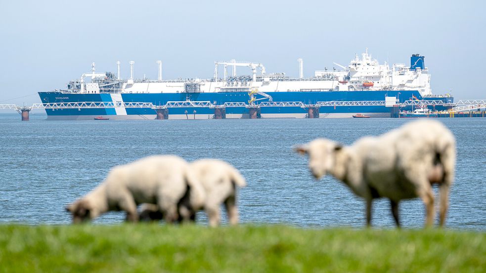 Das LNG-Importterminal-Schiff „Excelsior“ hat seinen kommerziellen Betrieb vor Wilhelmshaven im August 2025 aufgenommen. Foto: Sina Schuldt/dpa