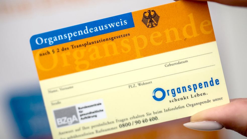 Ein Organspende-Ausweis dokumentiert die Entscheidung. (Archivbild) Foto: Michael Kappeler/dpa
