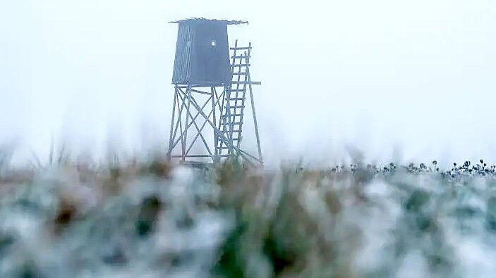 Ein Vorwurf bei der Jägerschaft Aschendorf-Hümmling beschäftigt aktuell die Polizei. Symbolfoto: Silas Stein/dpa