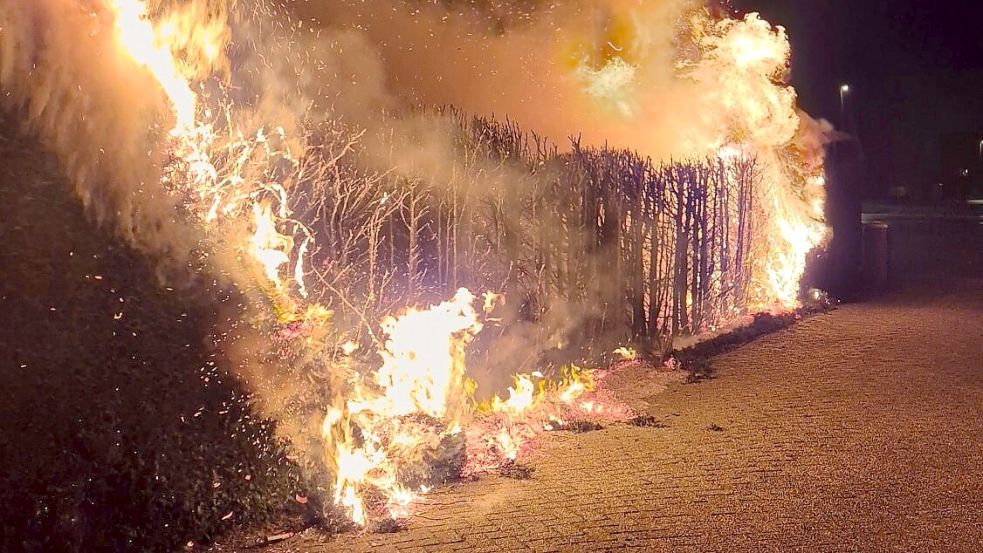 Am Neujahrsmorgen brannte diese Hecke an der Hauptstraße in Ostrhauderfehn. Möglicherweise handelte es sich um Brandstiftung. Foto: Sascha Block/Feuerwehr Ostrhauderfehn