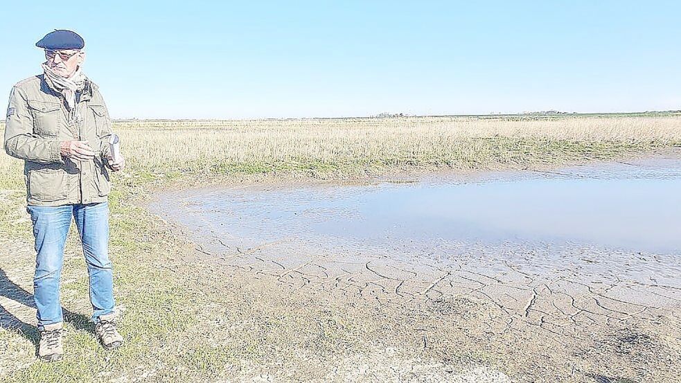 Oberdeichrichter Meint Hensmann steht im Midlumer Deichvorland am Rand einer Pütte, in der sich Schlick aus der Ems sammelt. Foto: Tatjana Gettkowski/Archiv