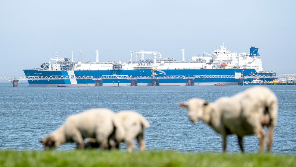 Das LNG-Importterminal-Schiff „Excelsior“ hat seinen kommerziellen Betrieb vor Wilhelmshaven im August 2025 aufgenommen. Foto: dpa/Sina Schuldt
