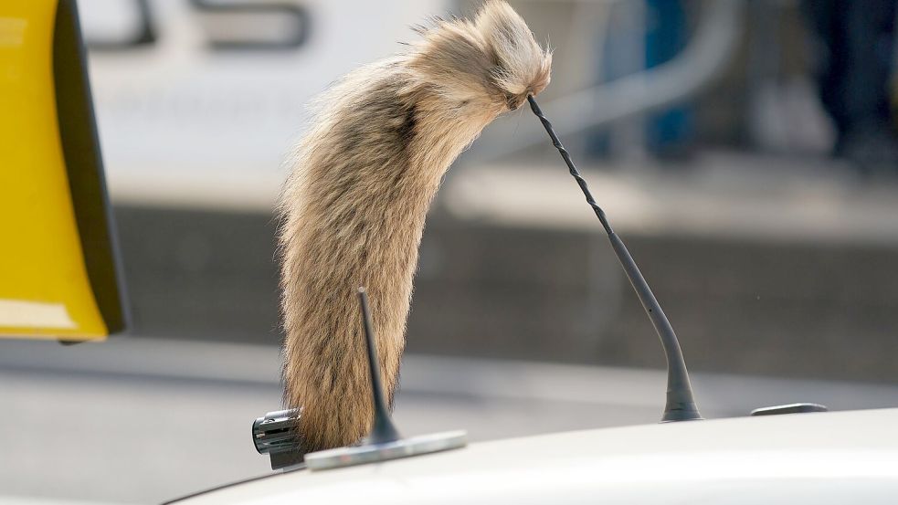 Der Fuchsschanz war für viele Fahrer des Opel Manta unverzichtbar. Foto: Thomas Frey