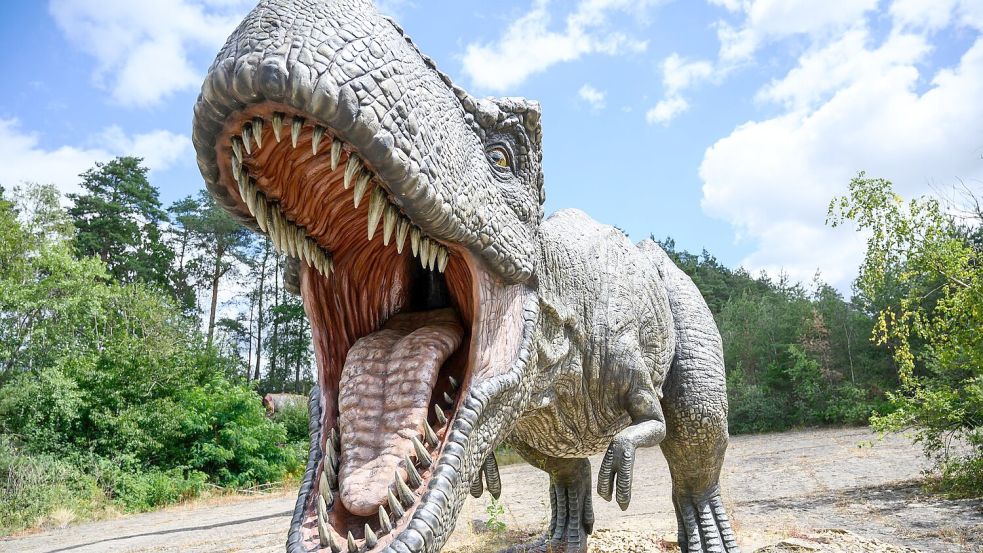 Ungefähr 15 bis 20 Jahre dauert es, bis ein Mensch ausgewachsen ist - beim gigantischen Tyrannosaurus rex waren es wohl zwei Jahrzehnte mehr. Foto: Christophe Gateau