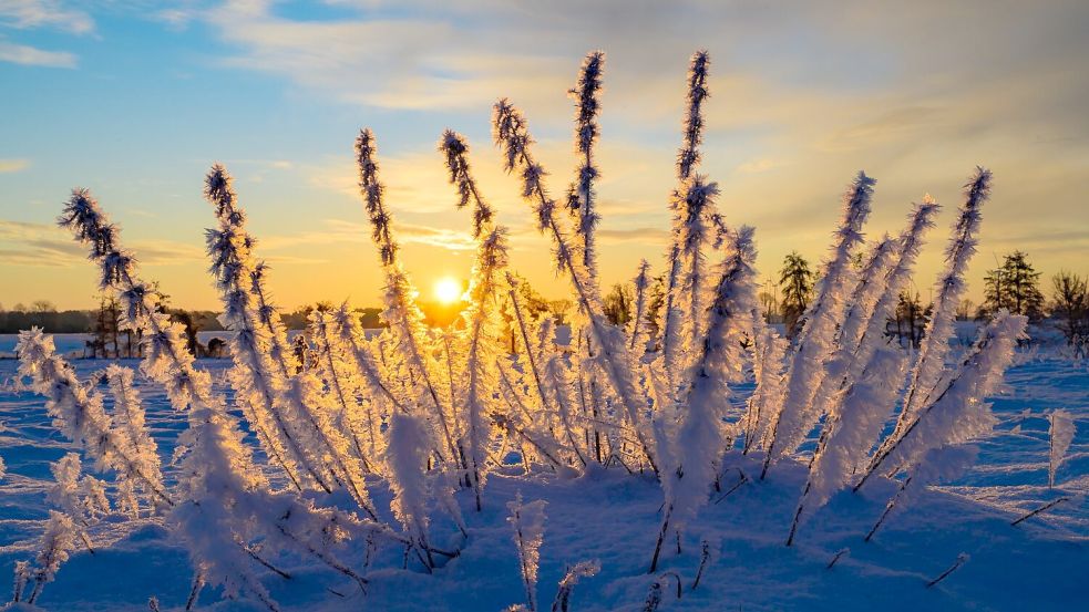 Sonne und kalte Luft erwarten die Meteorologen zum Wochenbeginn. (Archivbild) Foto: Patrick Pleul