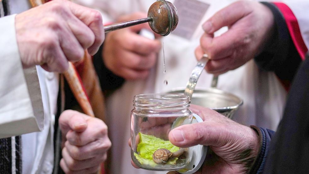 Die Tradition der katholischen Tiersegnung geht auf das Mittelalter zurück. Früher ließen die Bauern ihr Vieh segnen, heute sind es vor allem Städter, die ihre Lieblinge immer an einem 17. Januar, dem Fest von San Antón, dem Schutzeiligen der Tiere, zur Kirche tragen. Foto: Manu Fernandez/AP/dpa