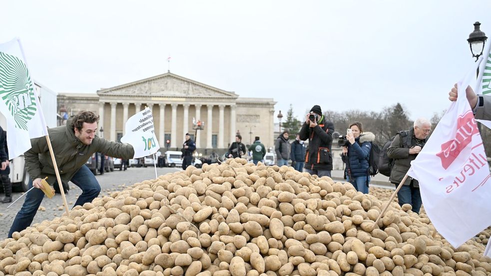Europäische Bauern fürchten einen harten Preiskampf mit den südamerikanischen Farmern. (Archivbild) Foto: Emma Da Silva/AP/dpa