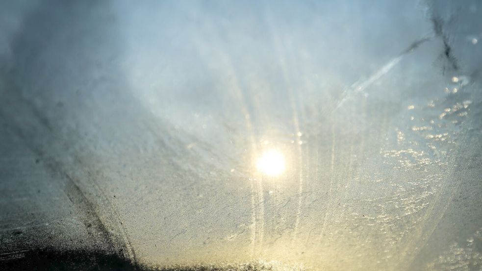 In den nächsten Tagen wird es immer sonniger. Foto: Christoph Reichwein