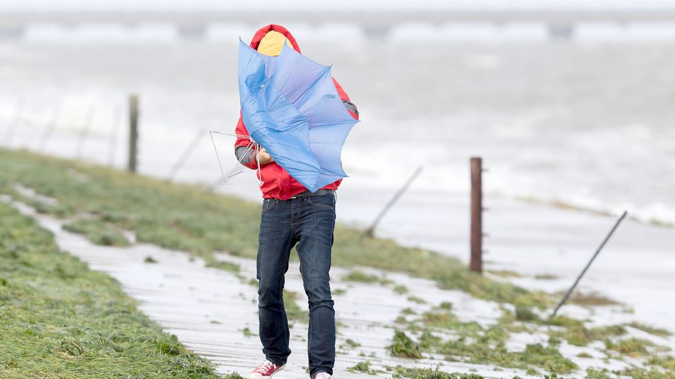 Niedersachsen wird unter den Folgen der Klimakrise stark leiden, prognostizieren verschiedene Studien. Foto: dpa/ Mohssen Assanimoghaddam