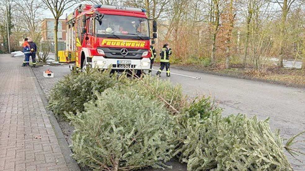 Im gesamten Kreisgebiet sammelten Jugendfeuerwehren am Sonnabend ausgediente Weihnachtsbäume ein. Dieses Foto entstand in Norden. Foto: Feuerwehr Norden