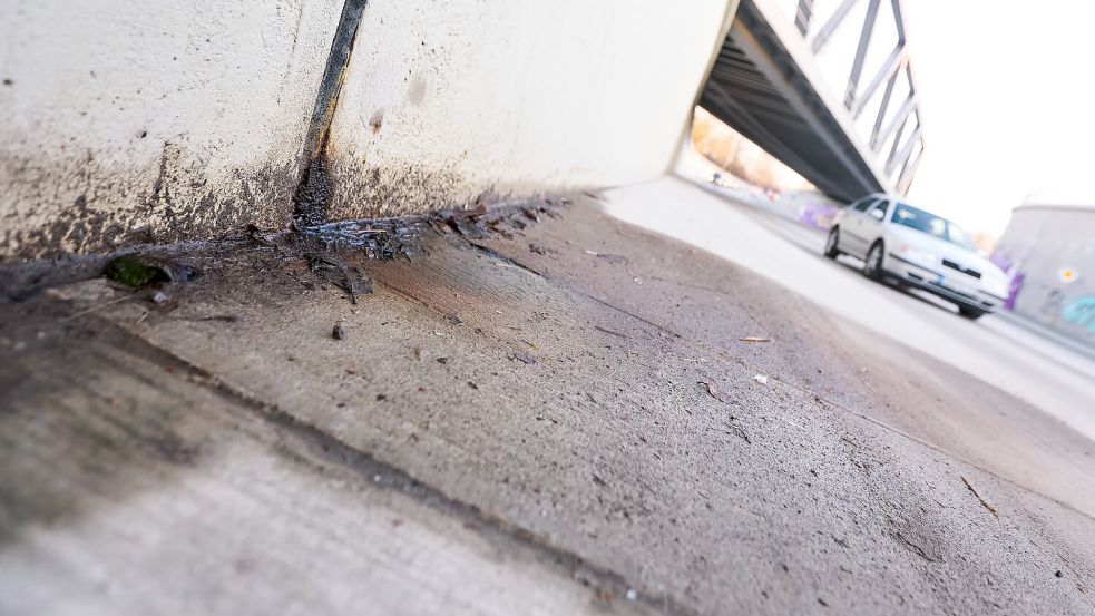 An einer Wandfuge ist Wasser zu erkennen. Ist der Trog doch nicht dicht? Foto: Jens Doden
