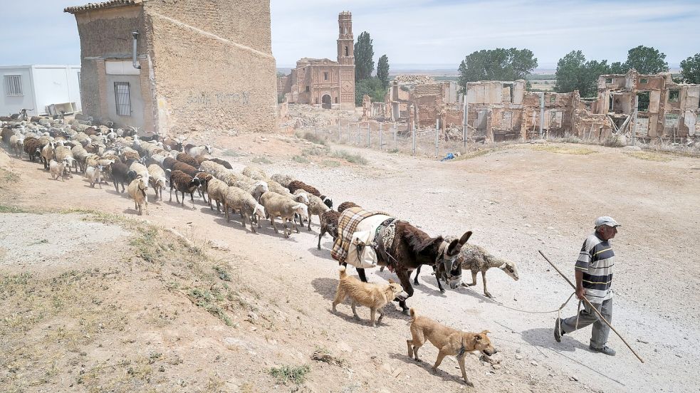 Forscher empfehlen etwa strengeren Schutz von Feuchtgebieten, Begrenzung der Grundwasserentnahme und den Umbau wasserintensiver Wirtschaftssektoren. Foto: Fabián Simón/EUROPA PRESS/dpa