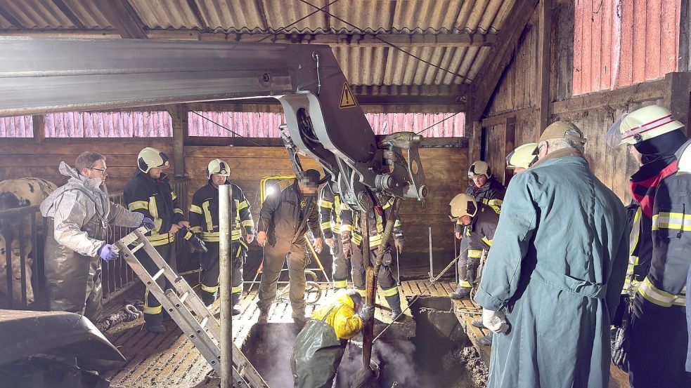 Einsatzkräfte der Feuerwehr retten zwei Kühe aus einer Güllegrube. Foto: Sönke Geiken/Feuerwehr