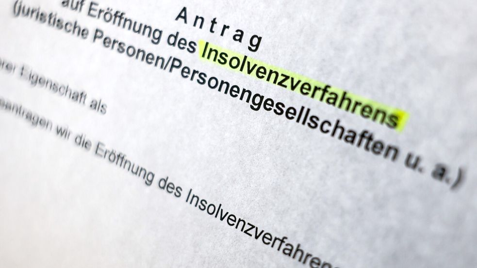 Rofu Kinderland hat Insolvenz in Eigenverwaltung angekündigt. (Symbolbild) Foto: Oliver Berg