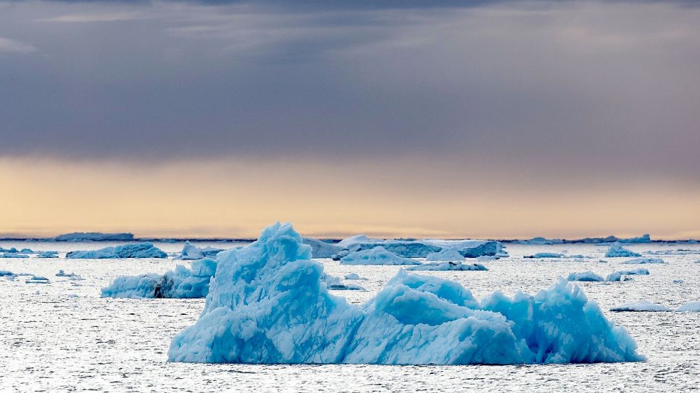 Die Dokumentation von Werner Herzog, in der der Pinguin vorkommt, ist aus dem Jahr 2007. (Archivfoto) Foto: John Weller/dpa